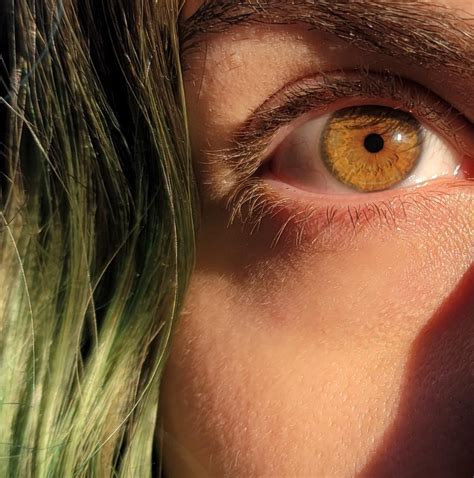 Hazel eyes looking amber in sunset 🧡💛💚🥰 : eyes