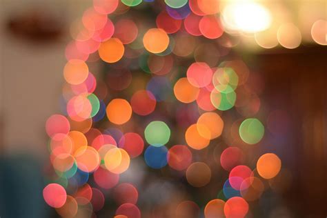Holiday Photos, Download The BEST Free Holiday Stock Photos & HD Images