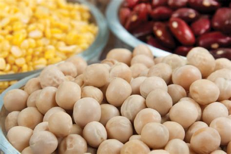 Buhler empowers pulses processors with 150-year experience | Miller ...
