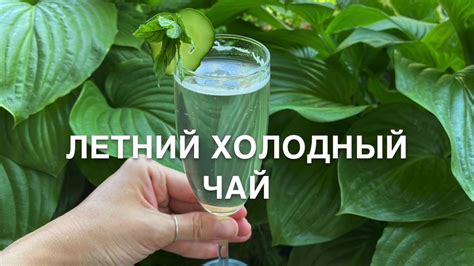 Холодный Зелёный чай с мятой и огурцом - самый летний рецепт! - YouTube