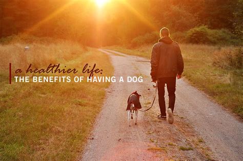 A Healthier Life: The Benefits of Having a Dog - Coury & Buehler Physical Therapy