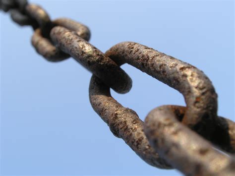 The video tutorial on cohesion – Pros Write