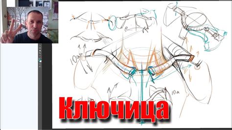 Как устроена ключица человека - А. Рыжкин - YouTube