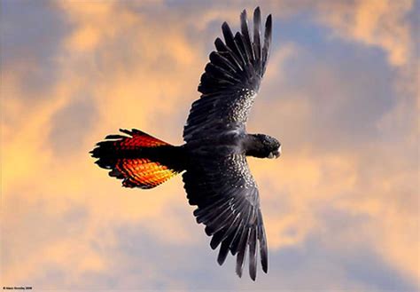Our Blog Birds of a feather…..