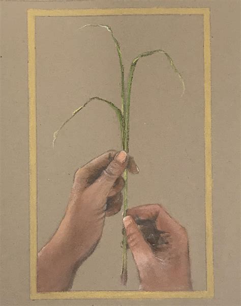 The First Blade of Sweetgrass — Nancy T. Baker