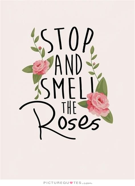 Stop And Smell The Roses Quotes. QuotesGram