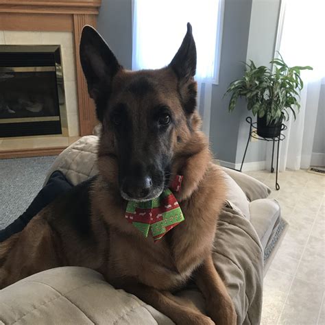 Remembering Heidi Smith: Obituary and Memorial Details