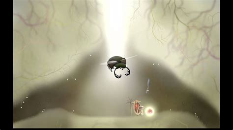Botanicula Preview Trailer - YouTube