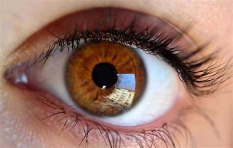 20 Interesting Facts About The Eyes