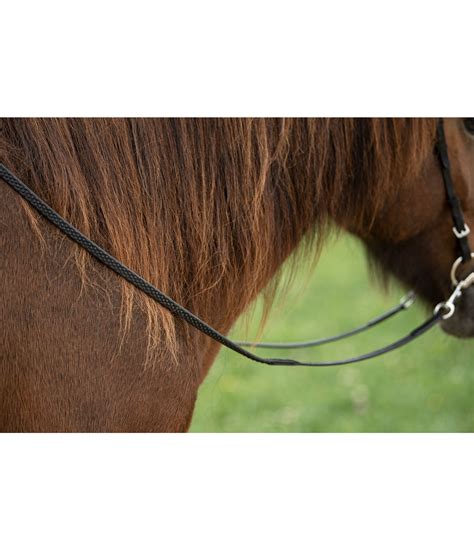 Tighten your grip with these Reins 11