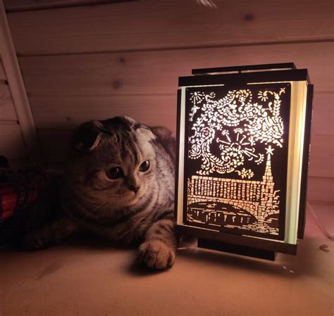 Котолампа | Пикабу