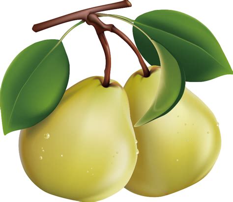 Груша, клипарт, фон ПНГ на Прозрачном Фоне • Скачать PNG Груша, клипарт ...