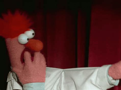 Beaker The Muppet GIFs | Tenor