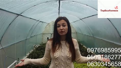 Теплица,отзывы - YouTube