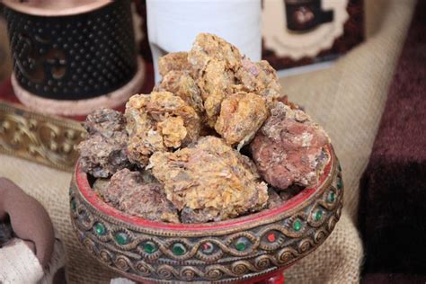 Myrrh – Uses, Botanical Source, Characters, and Chemical Constituents