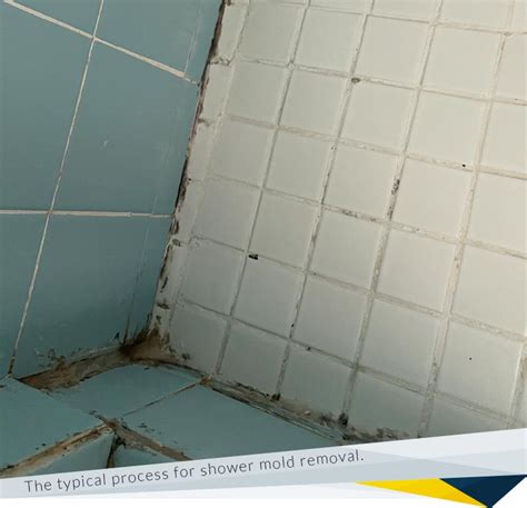 Shower Mold Removal | FDP Mold Remediation