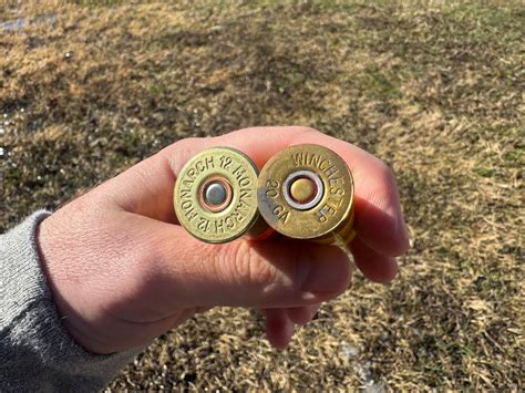 Experts argue over 12 gauge vs 20 gauge for home defense 11