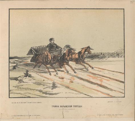 Томск. Часть 8. «Виды города Томска». 1871: humus — LiveJournal