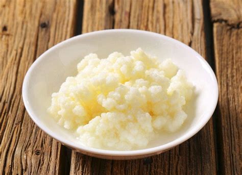 Dairy Kefir Culture in Glass Jar