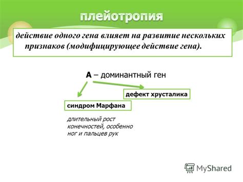 Презентация на тему: "Полное доминирование Неполное доминирование ...