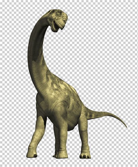 Dinosaurio, dinosaurio png | Klipartz