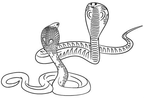 Cabeça De Cobra Para Imprimir