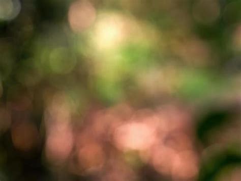 Nature Blur Background Stock Photos, Images and Backgrounds for Free ...