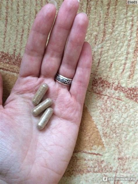 БАД Nature`s sunshine products Репейник капсулы (Burdock) - «Проверено ...
