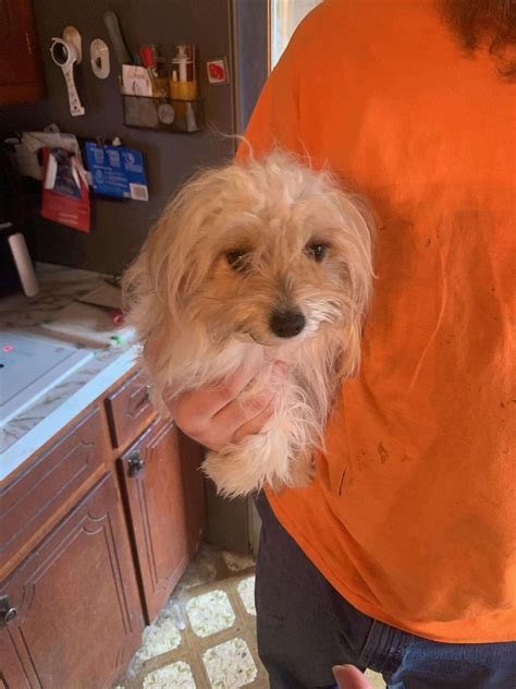 Special request to assist Kuroitsune, Godfather of Fallout modding