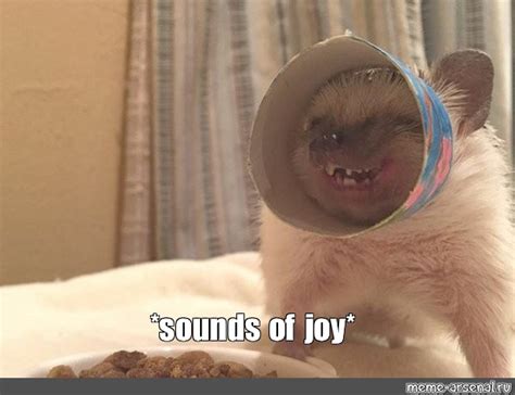 meme sounds  joy  templates meme arsenalcom