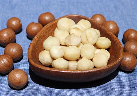Top 4 Nutritional Benefits of Macadamia Nuts and Fun Facts