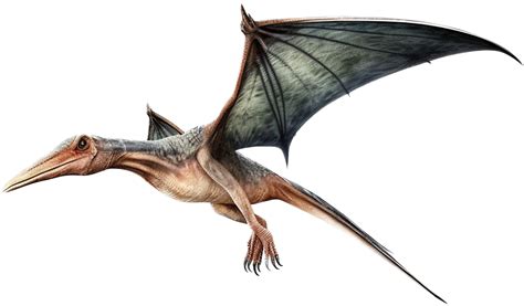 jurassic park pteranodon flying