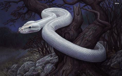 Whitesnake Wallpapers - Wallpaper Cave