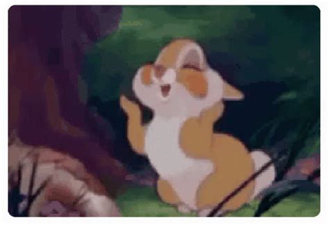 Cute Bunny GIF - Cute Bunny - Discover & Share GIFs