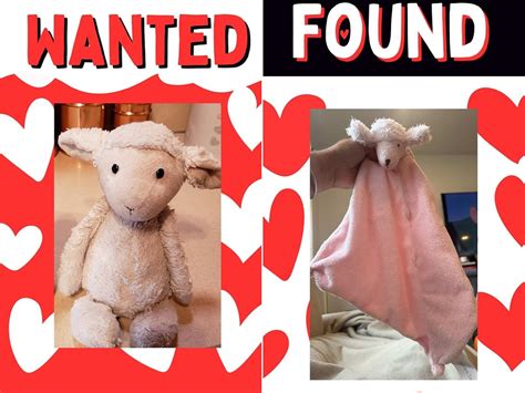 Nonprofit reunites Camp Mystic campers with 'lost' stuffed toys - ABC News