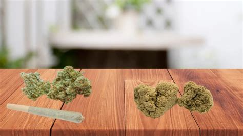Weed vs. Hash: Understanding the Differences and Similarities