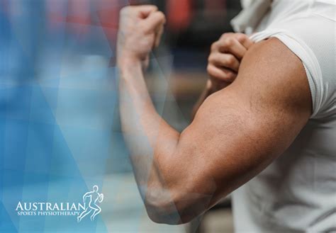 bicep tendon tear physio australian sports physiotherapy