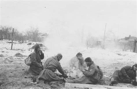 Коллаборационизм в СССР в годы Великой Отечественной войны - Фотохронограф