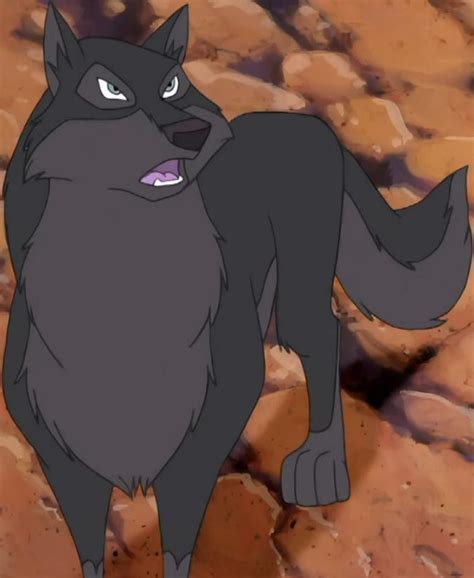 Dark brown wolf | Balto Wiki | Fandom