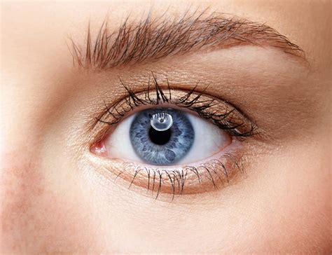 Eye Anatomy: 16 Parts of the Eye & Their Functions