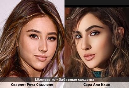 Забавные сходства: похожие знаменитости, звёзды-двойники и известные ...