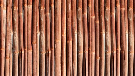 Download Bamboo Wood Garden Royalty-Free Stock Illustration Image - Pixabay