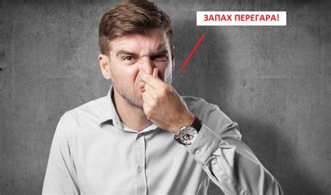 Через сколько времени можно сесть за руль, выпив бутылку пива ...