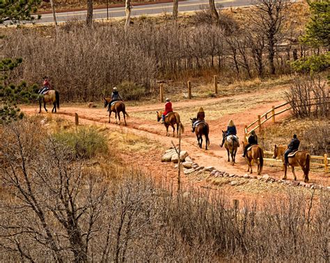 Academy riding stables – Artofit
