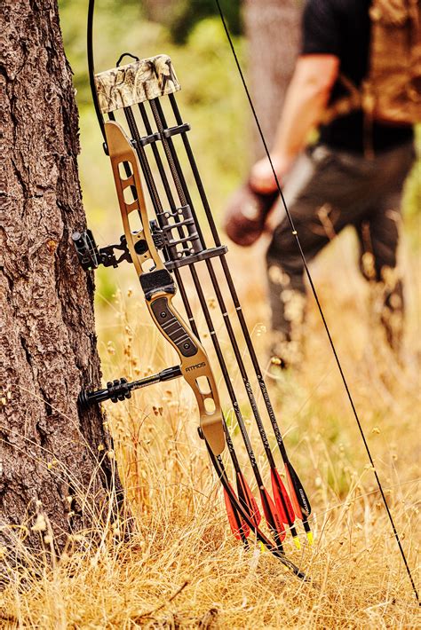 choosing  traditional bow   compound bow  survival