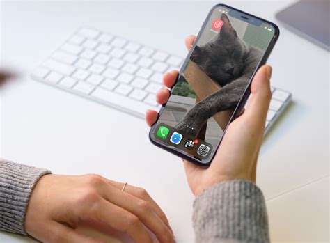 how to change the wallpaper on my phone