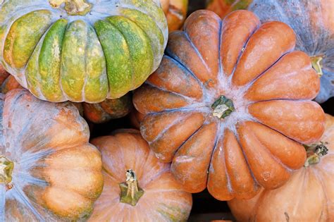 Es tiempo de calabaza - Academia Gastronómica de Málaga