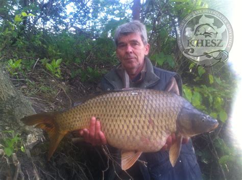 Fogási beszámoló / Litauszki Tibor / Tőponty / 8,20 kg / Kákafoki ...