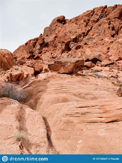 Calico Basin, Red Rock Conservation Area, Nevada USA Stock Image