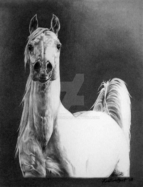Arabian Essence by AtticusKZ on DeviantArt